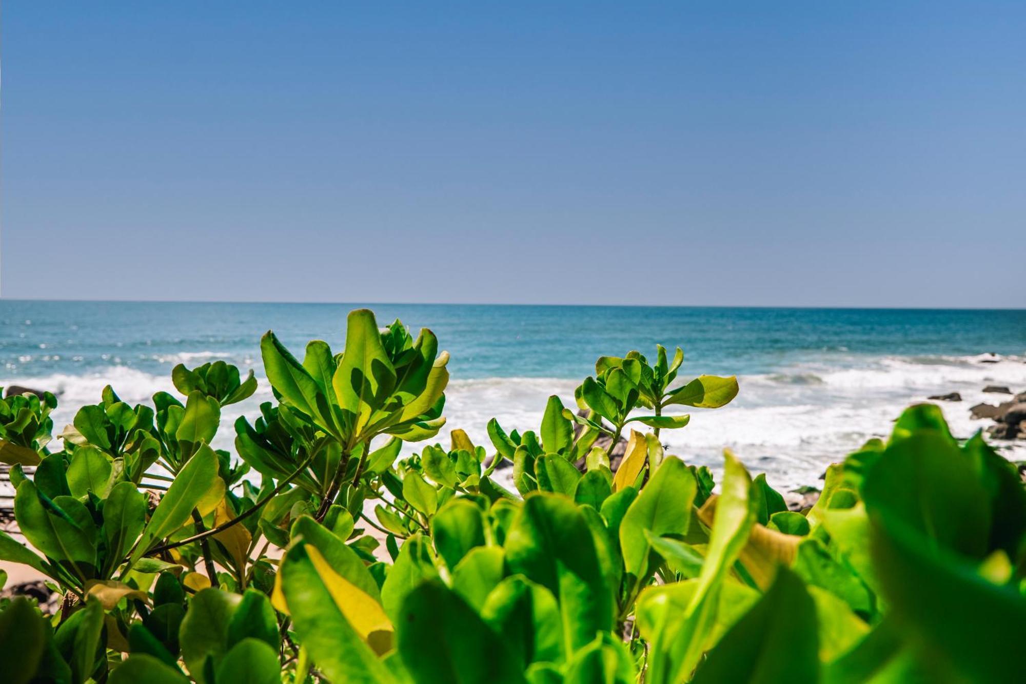 Haramara Retreat Hotel Sayulita Exterior photo